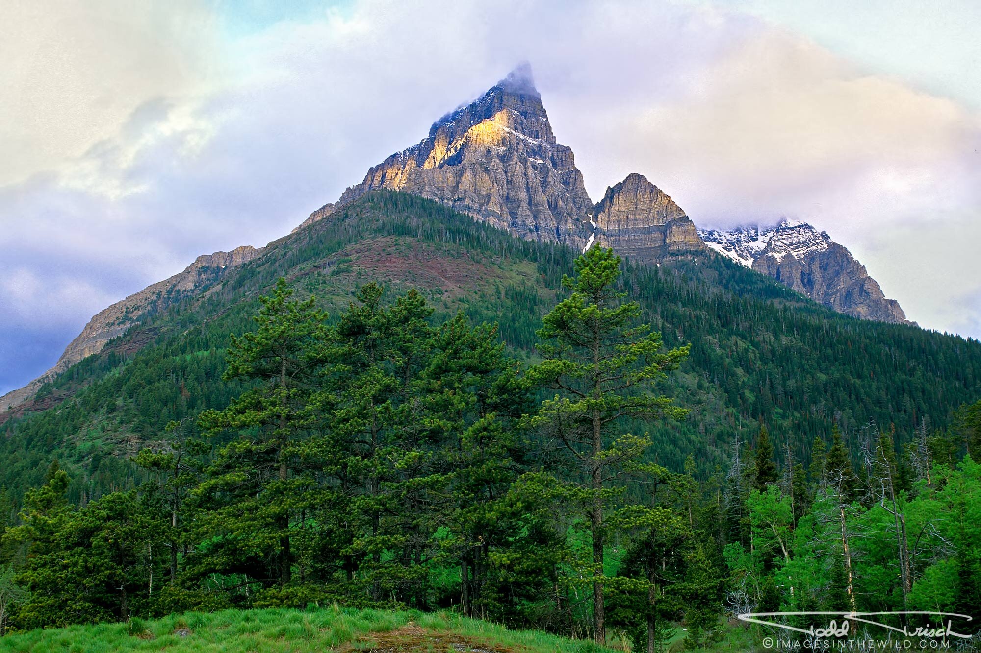 Anderson Peak - Waterton Lakes