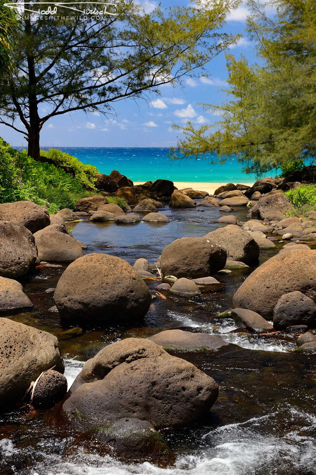 Hanakapi'ai Stream (Kauai)