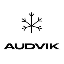 Audvik logo.png