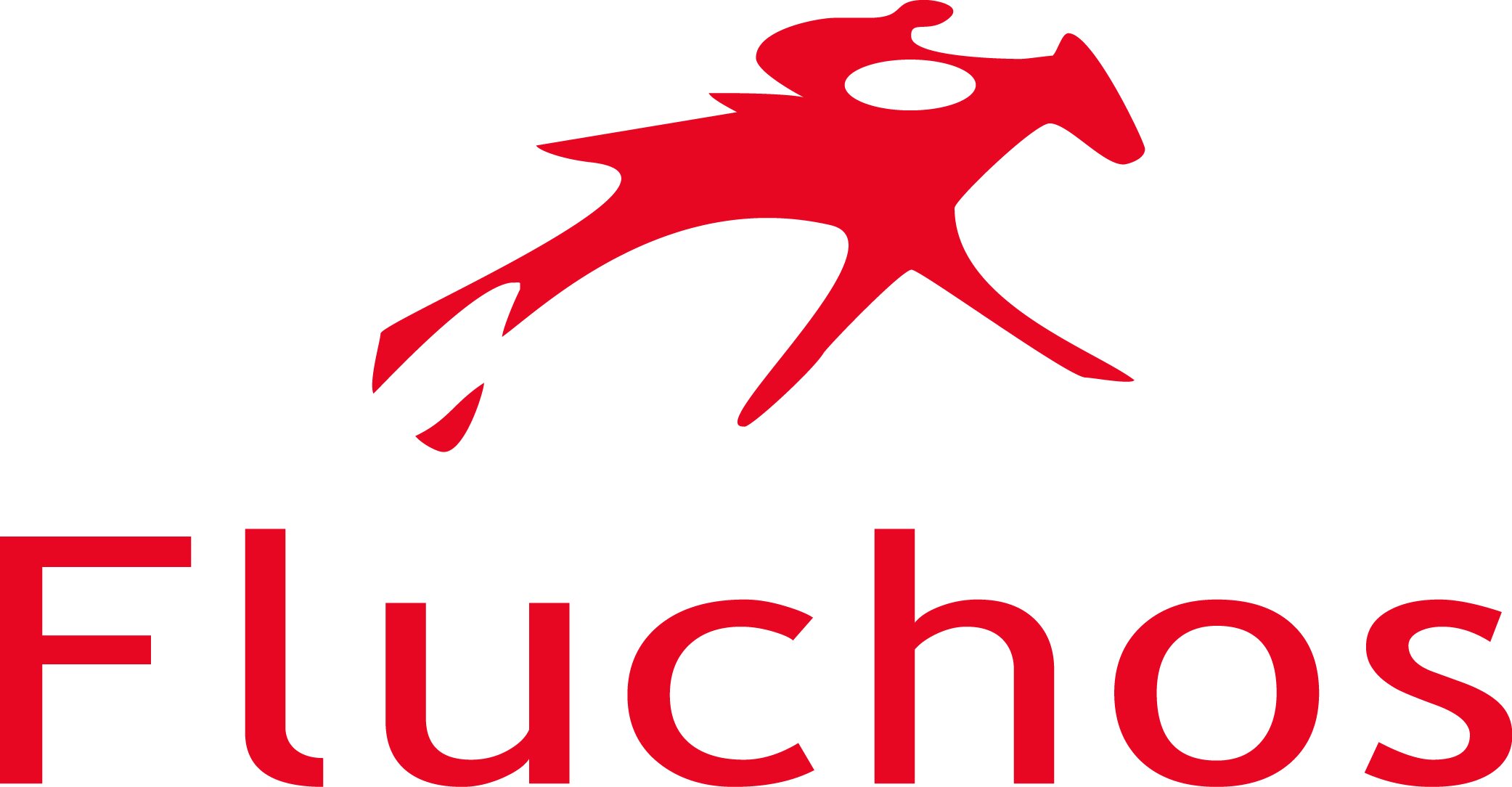 FLUCHOS logo.jpg