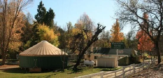 The infamous yurt at Seven Circles.