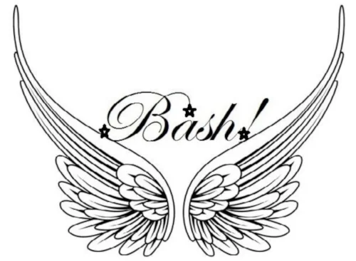 bash logo.jpg