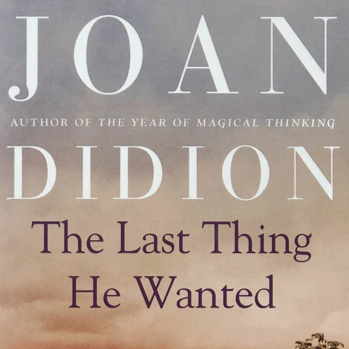 The-Last-Thing-He-Wanted-by-Joan-Didion.jpg