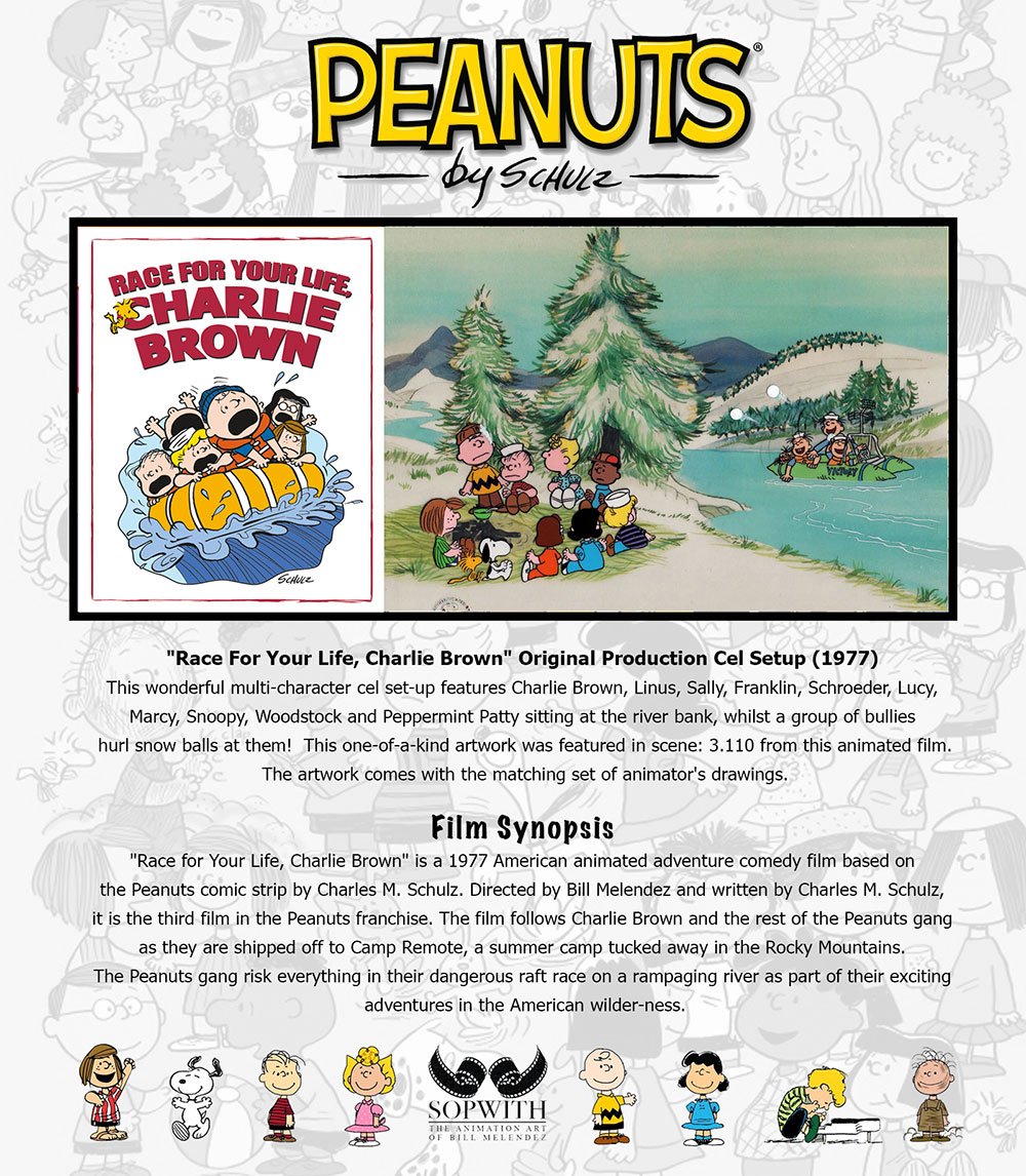 RaceForYourLifeCharlieBrown-INFO-CARD-RYL-3-134-01.jpg
