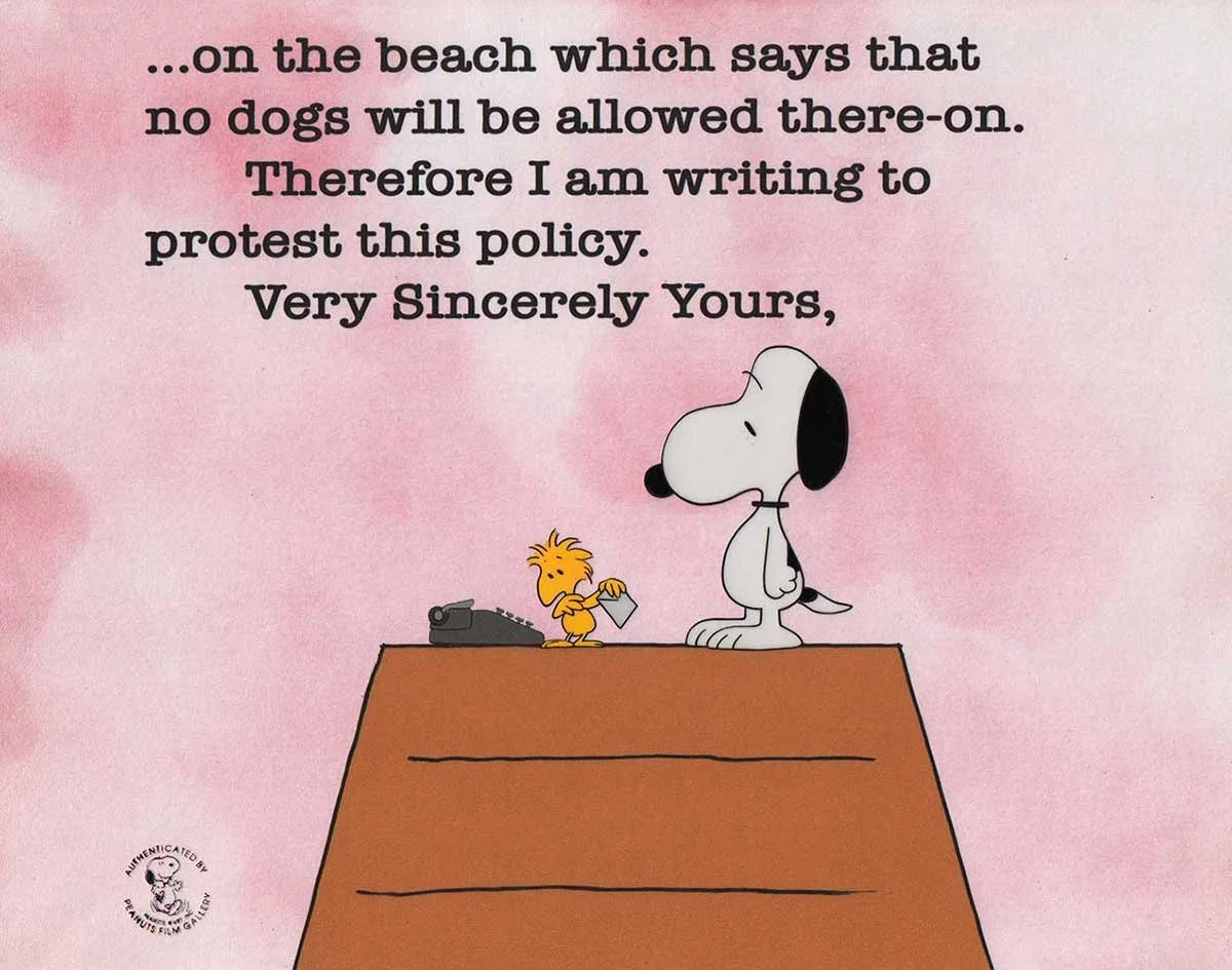 "Snoopy Come Home" (1972)