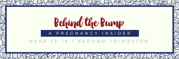 Prenatal Newsletter Header-3.png