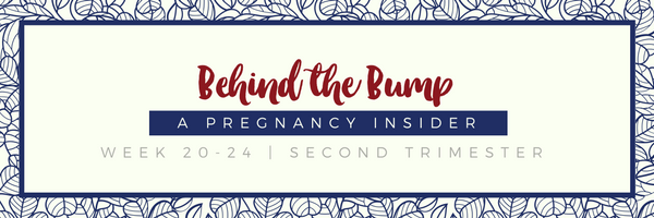 Prenatal Newsletter Header-5.png
