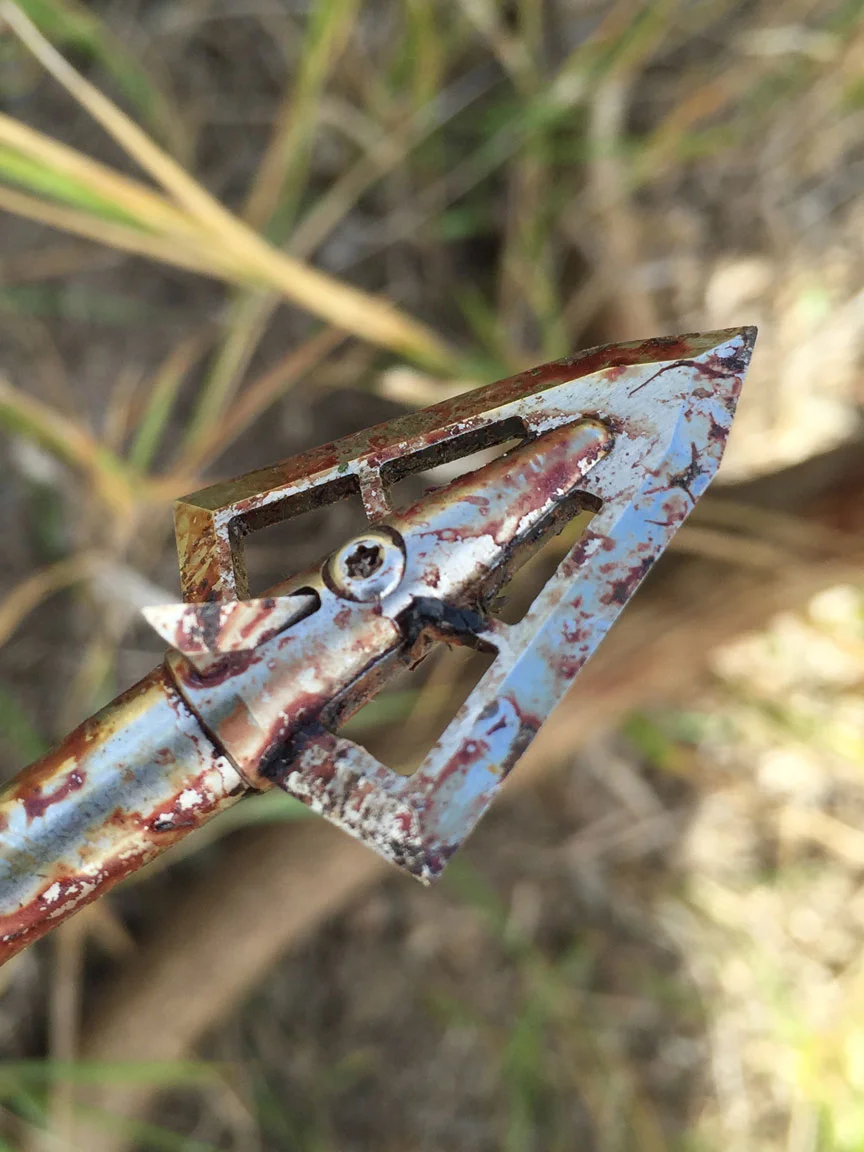 Bloody Broadhead After Kill