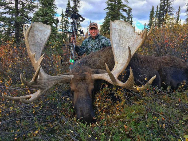 Greg Wisener with his Trophy Alaskan-Yukon moose, shot with an Iron Will Outfitters v100 broadhead. 
