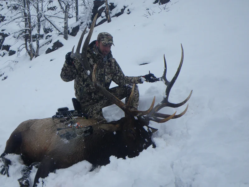 Eric Whiting with his 2017 archery elk, shot with an Iron Will Outfitters v125 broadhead. 