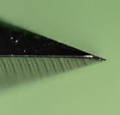 Iron Will 200x Magnification.jpeg