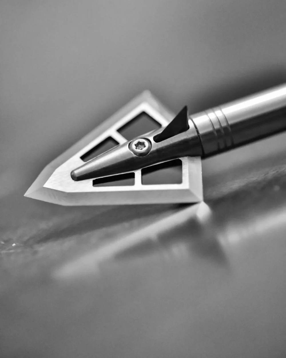 Iron Will Broadhead Picture.jpg
