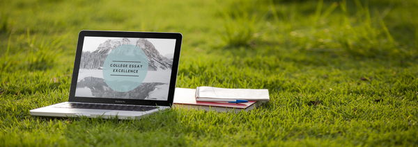  Master the Admissions Essay