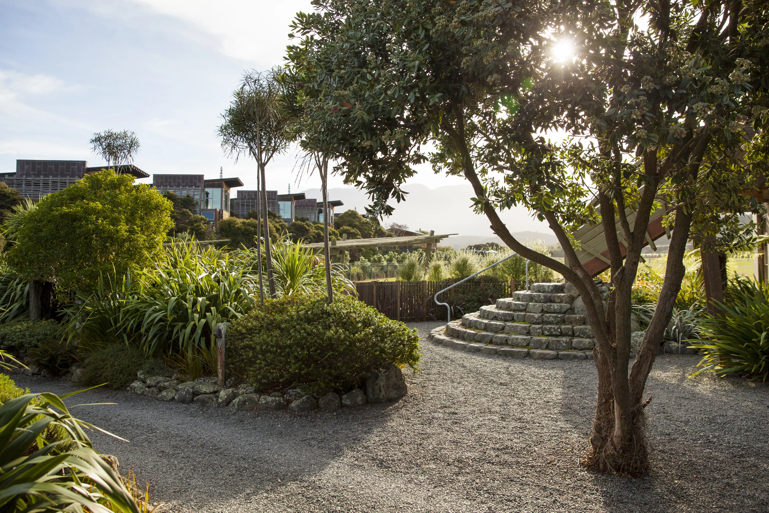 Hapuku Lodge + Tree Houses