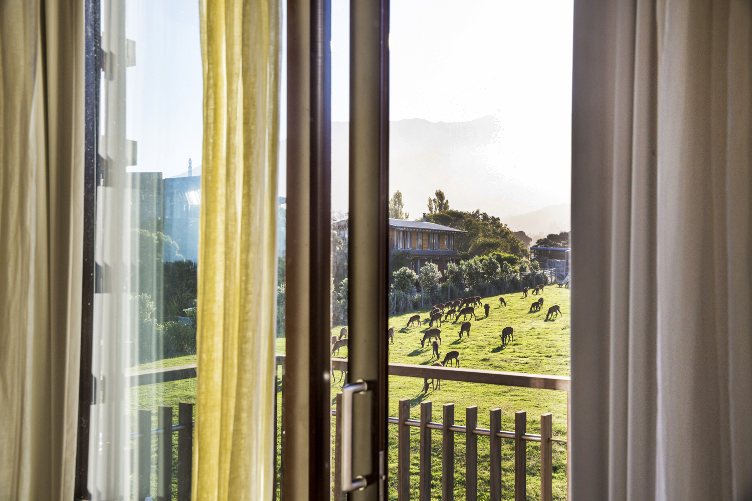 A private balcony overlooks the Hapuku deer breeding farm and Lodge grounds.