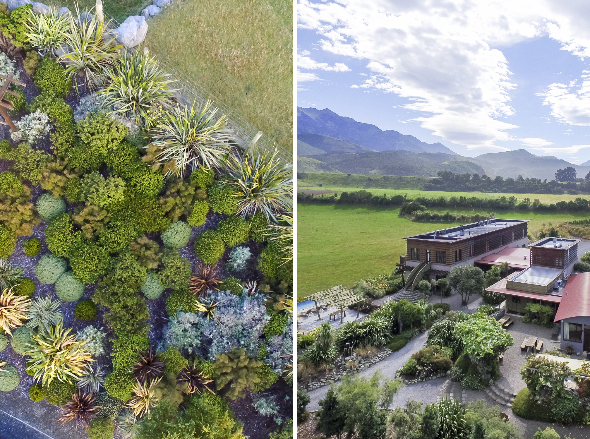 Thousands of NZ native plants and trees have planted throughout the property.