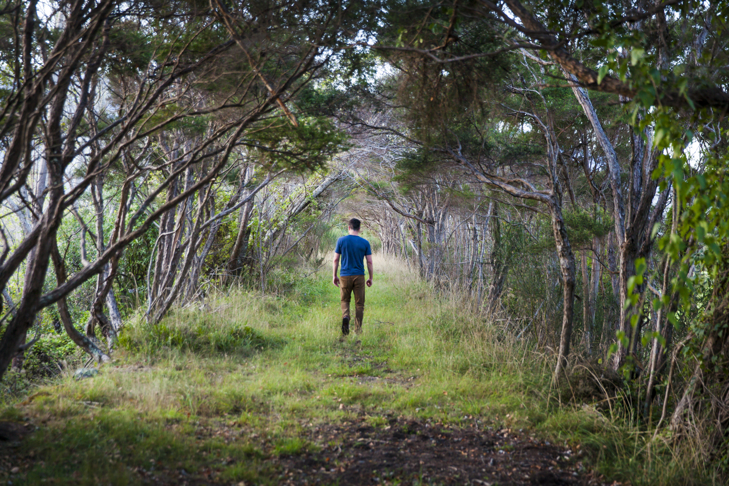 The levy path is an easy bush / farm walk to the Hapuku River from the Lodge.