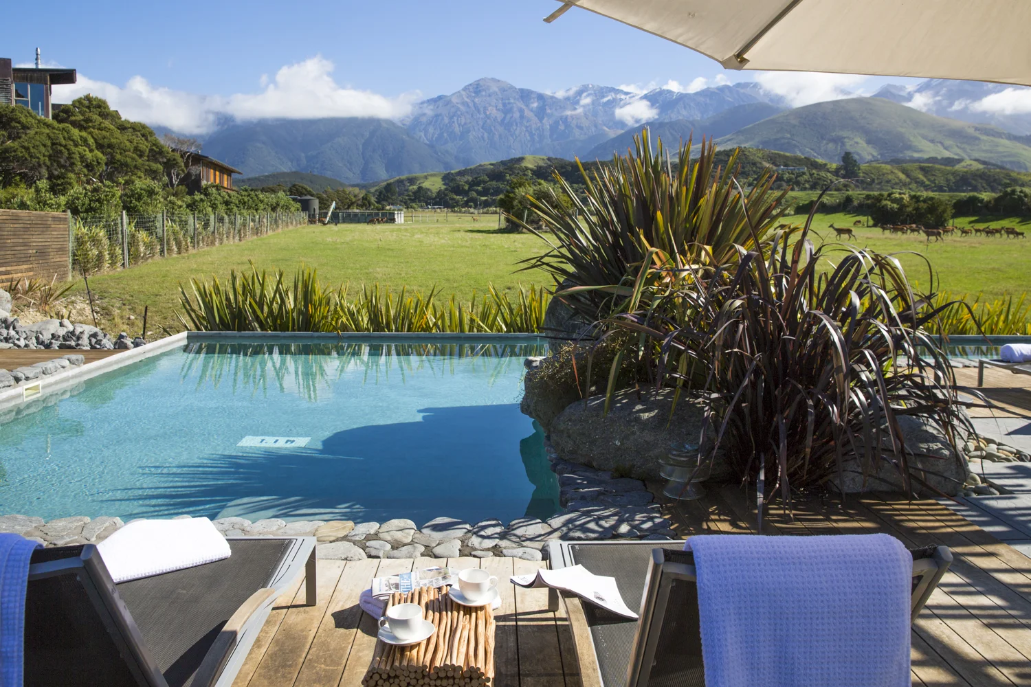 The pool overlooking the Hapuku Farm