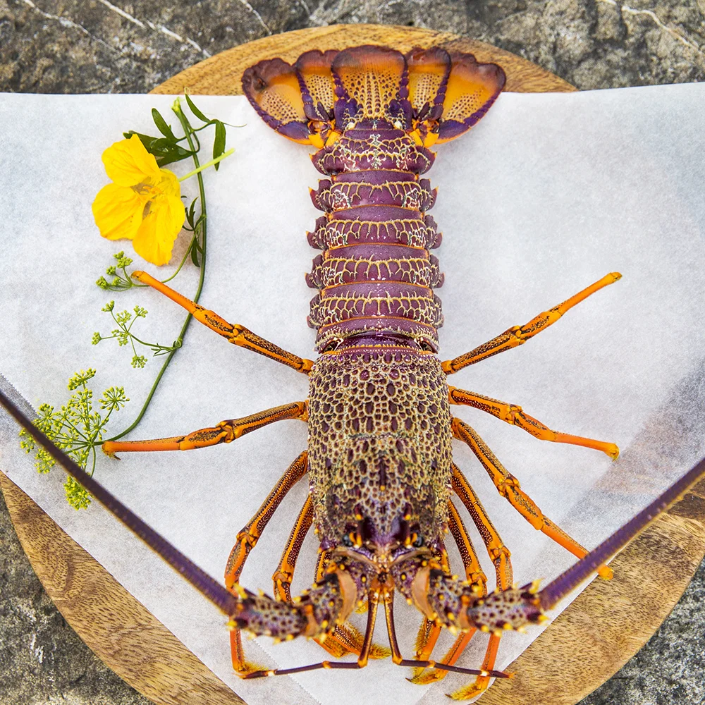 201604-HapukuLodge-Restaurant-0535.jpg
