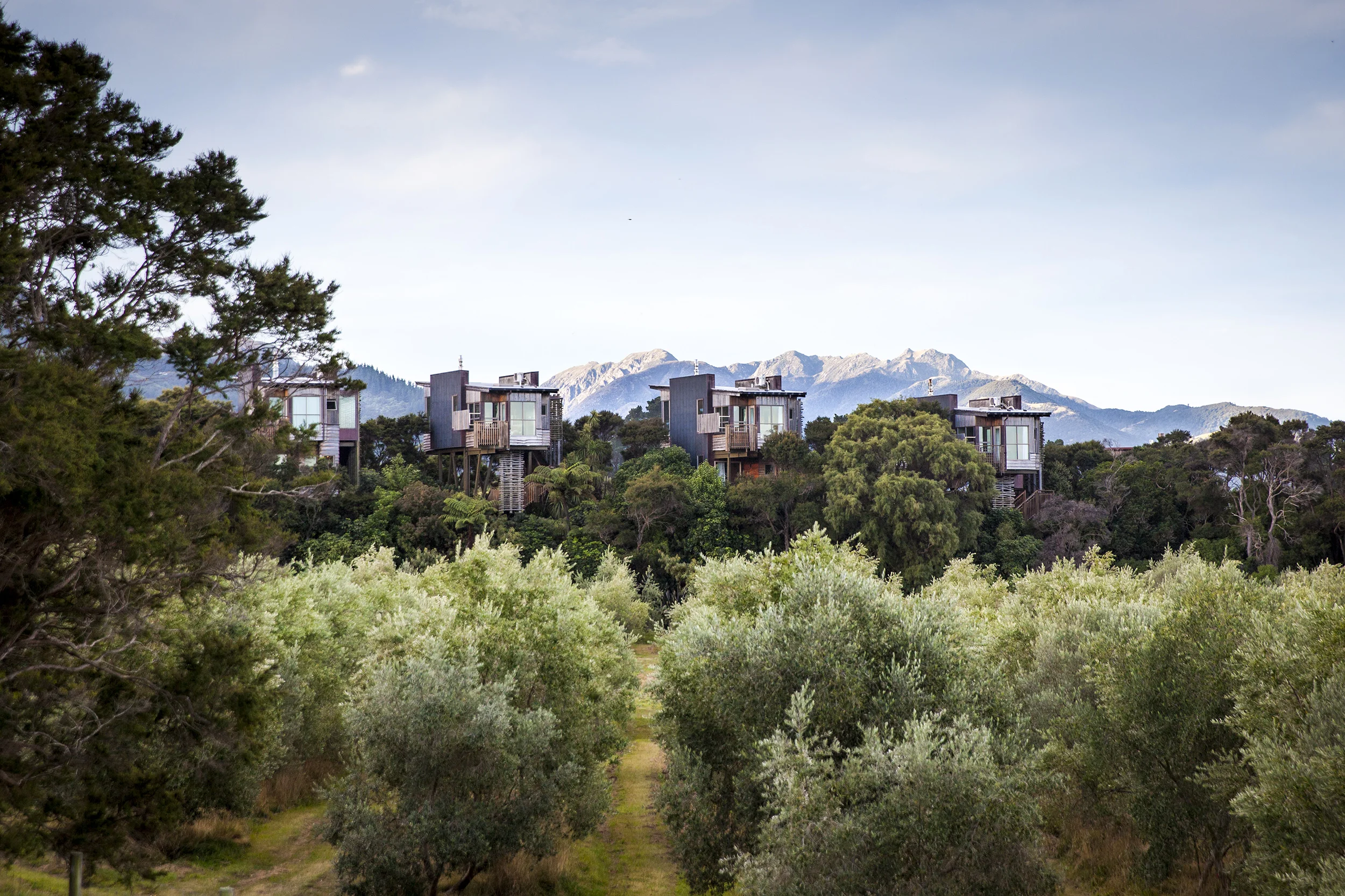 201604-HapukuLodge-TreeHouse-0674.jpg