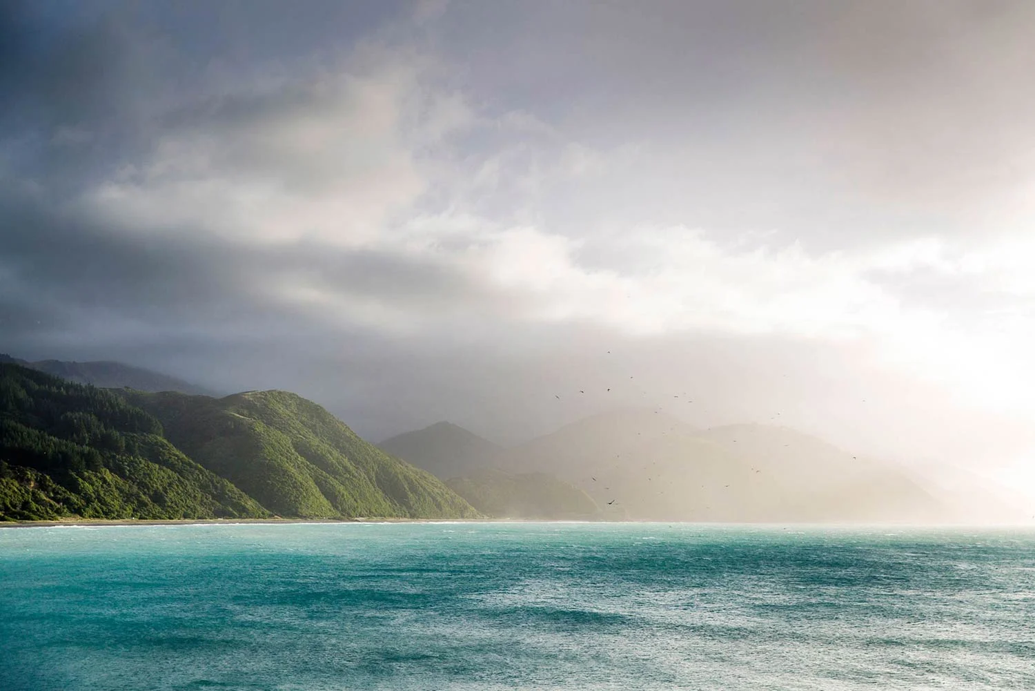 Luxury Accommodation New Zealand South Island Hapuku Lodge Tree Houses Kaikoura