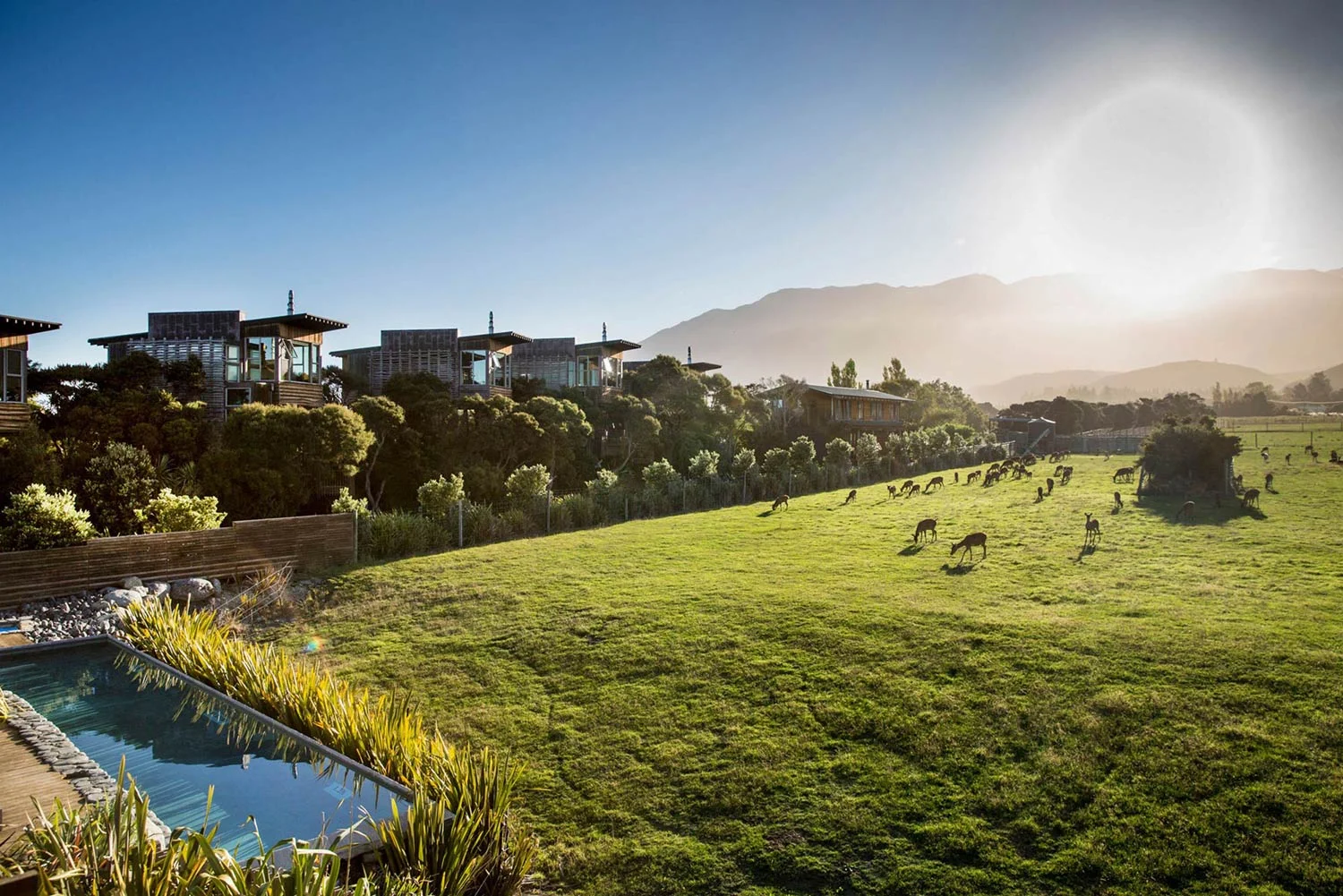 Luxury Accommodation New Zealand South Island Hapuku Lodge Tree Houses Kaikoura