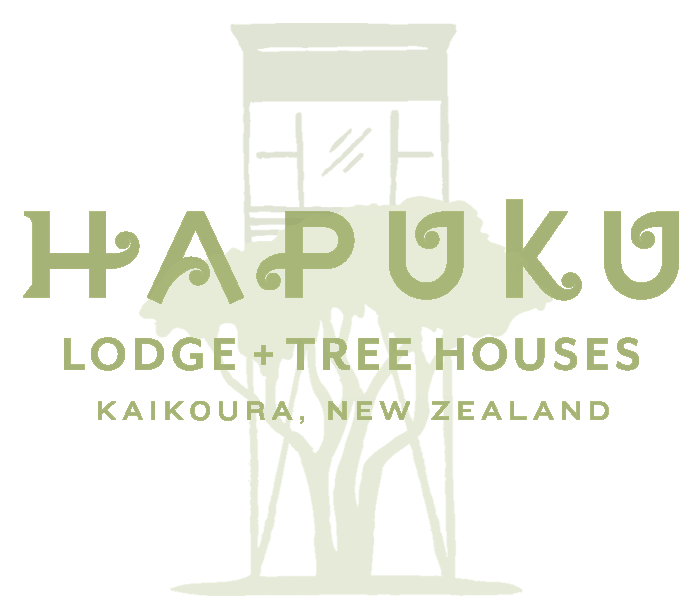 Hapuku Lodge + Tree Houses
