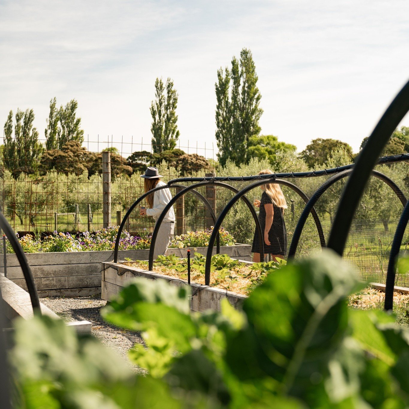 🌍 This Earth Day, we&rsquo;re celebrating our focus on sustainability.

We recognise that our guests may travel great distances to experience the spectacular scenery and maritime activities of Kaikōura. Our aim is to nurture this unique environment,