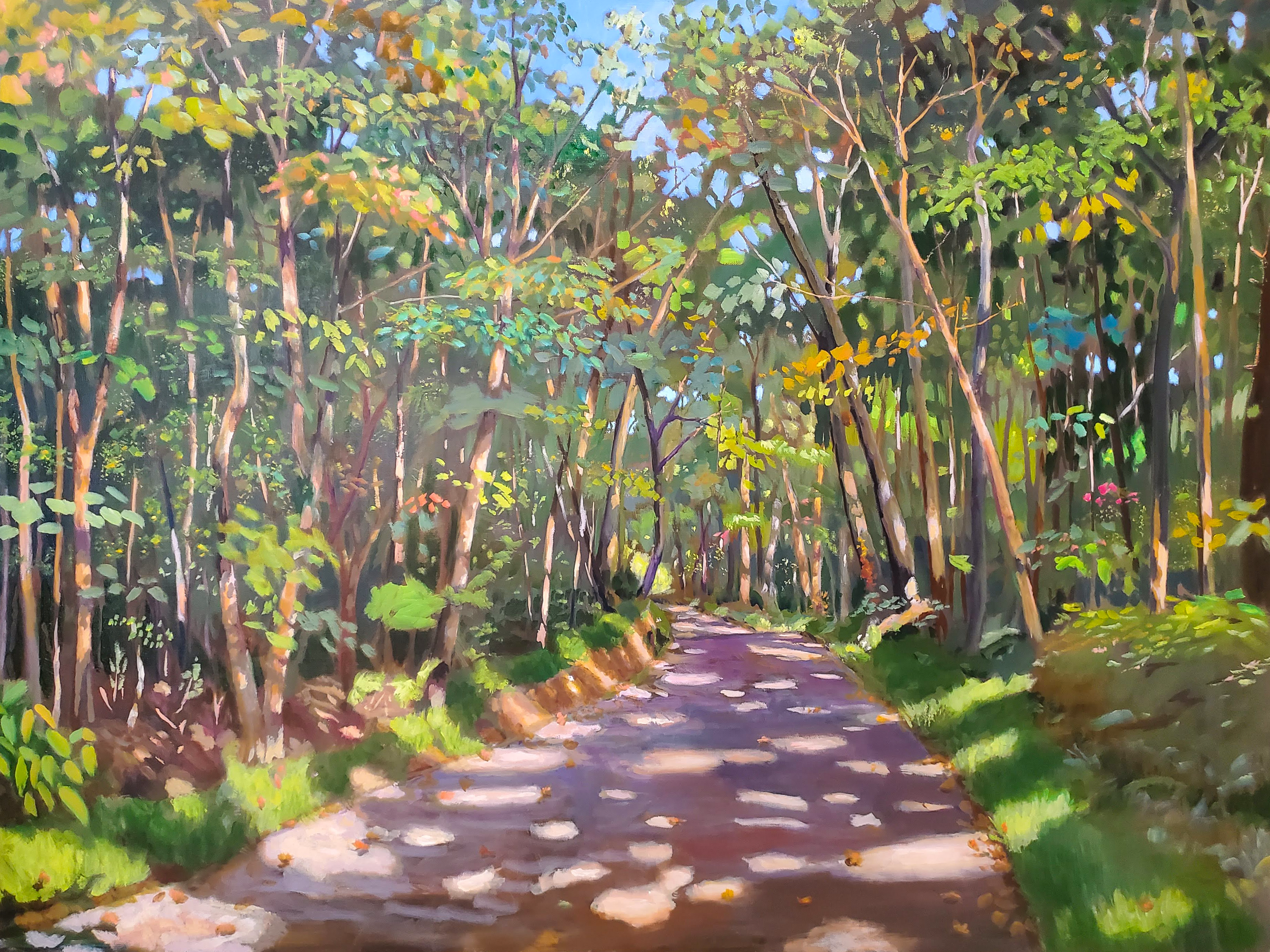 BUD GIBBONS, WOODS ROAD 2023.png
