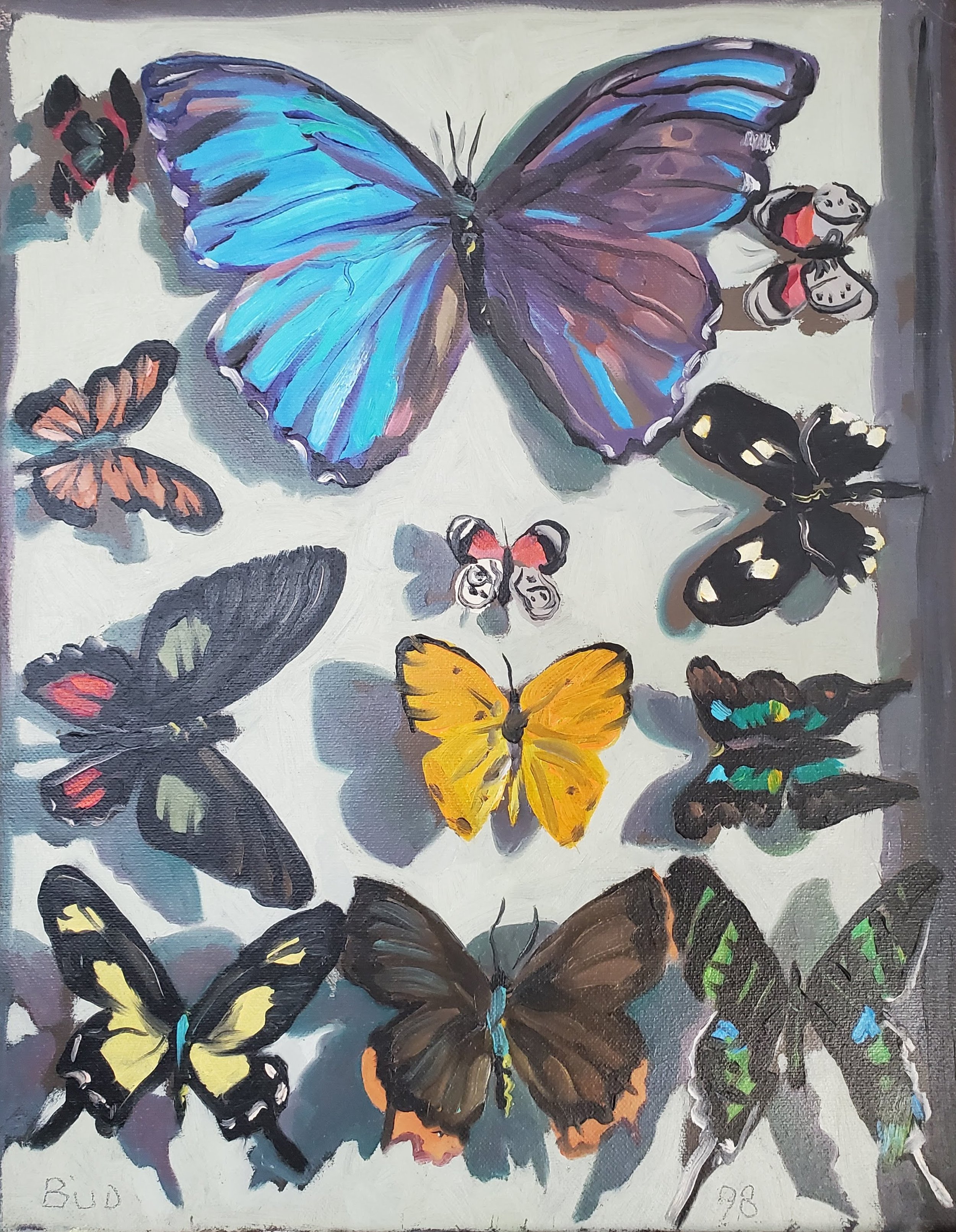 Butterfly Case, Front