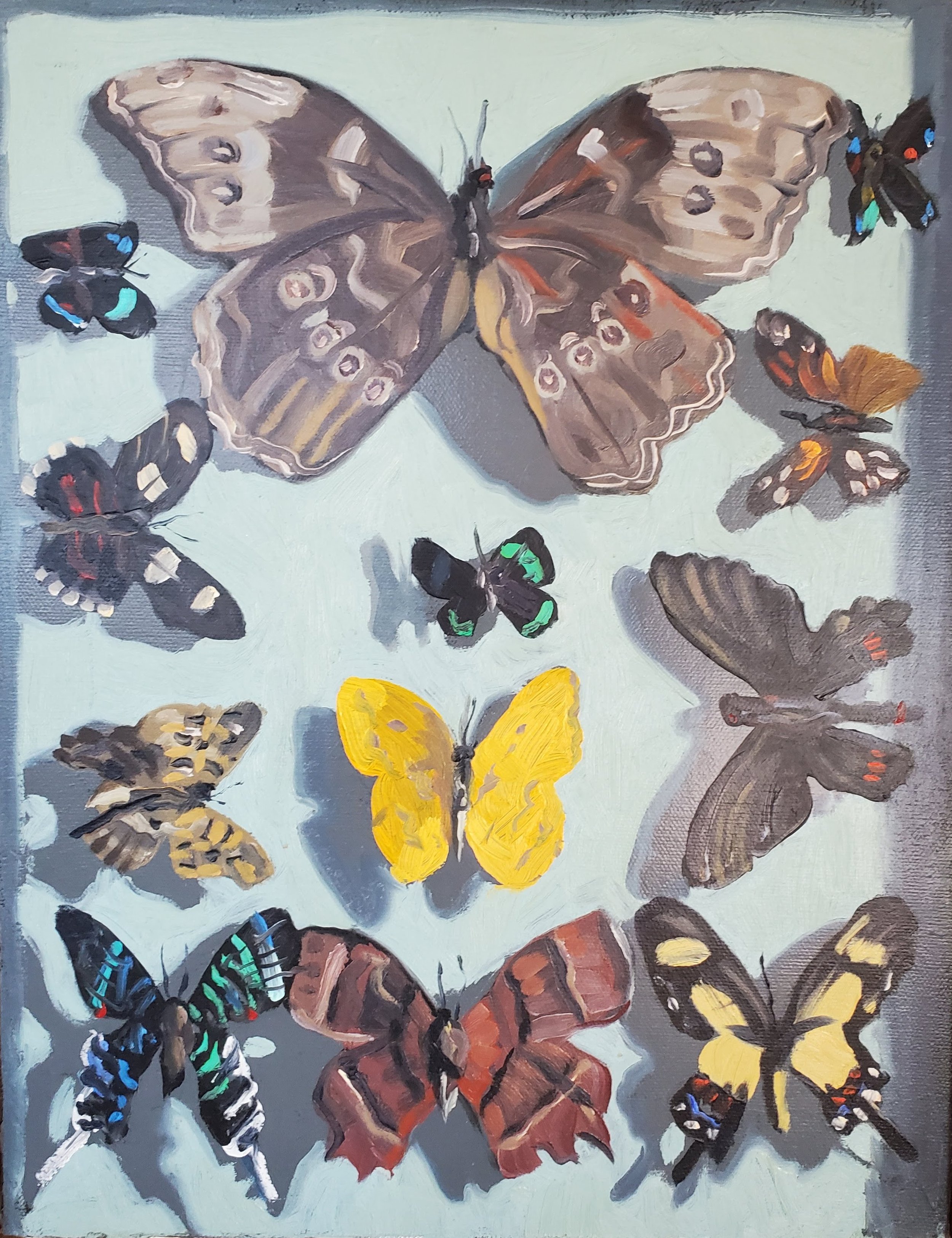 Butterfly Case, Back