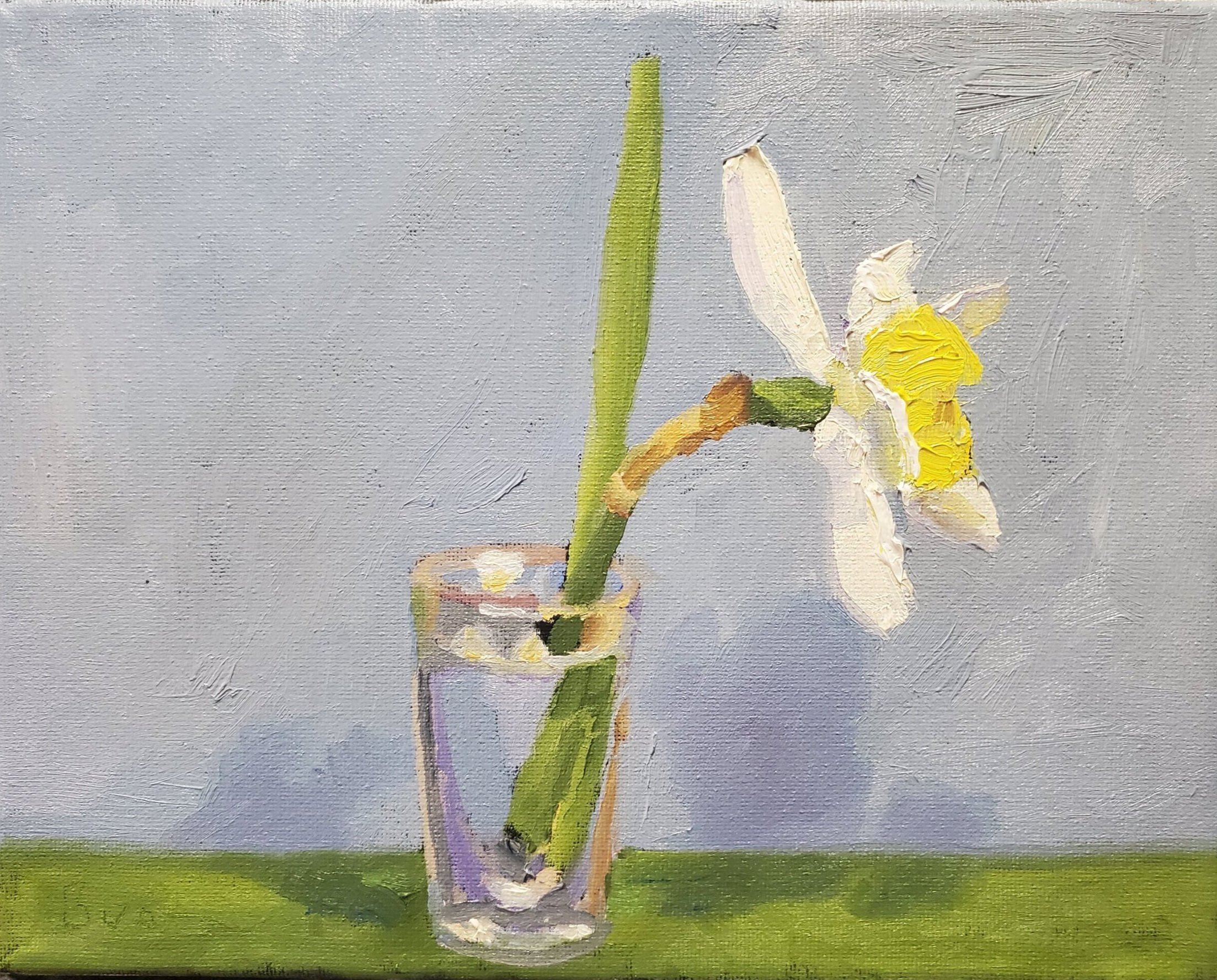 White Daffodil in Shot Glass