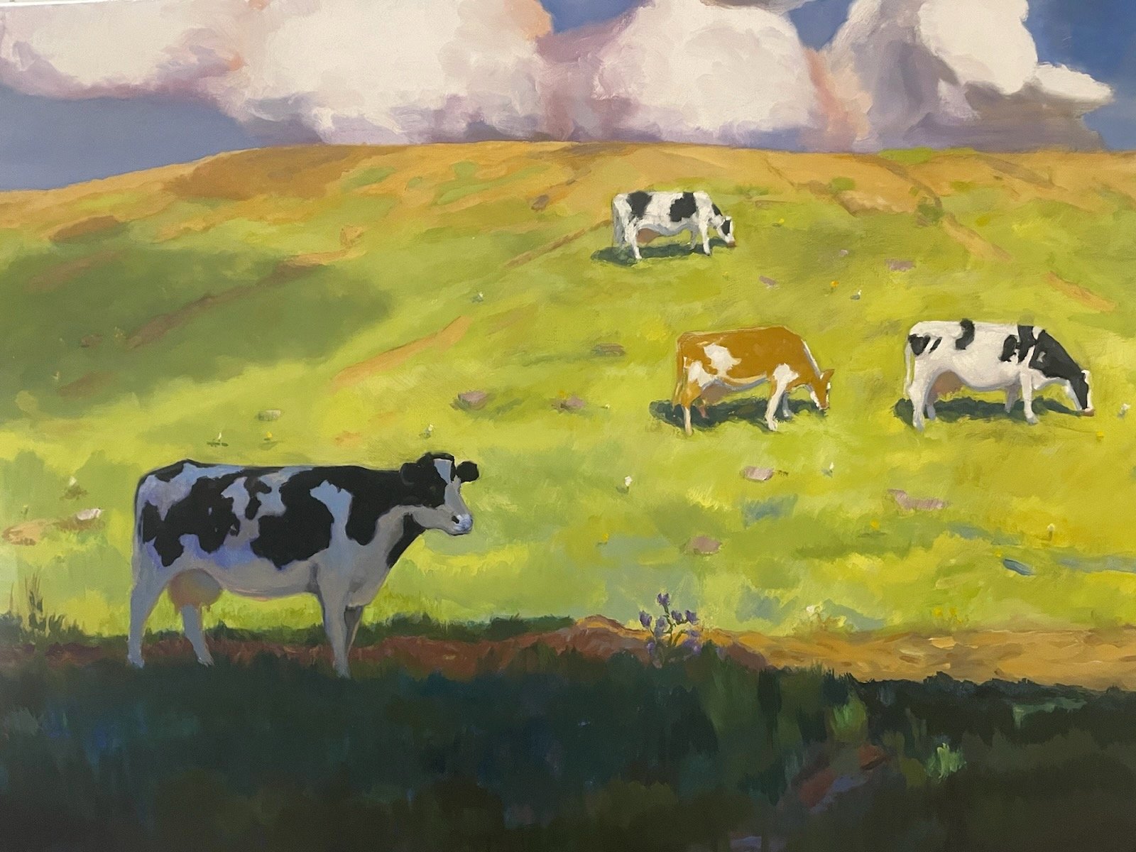 In Harmony (Cows on a Hillside)