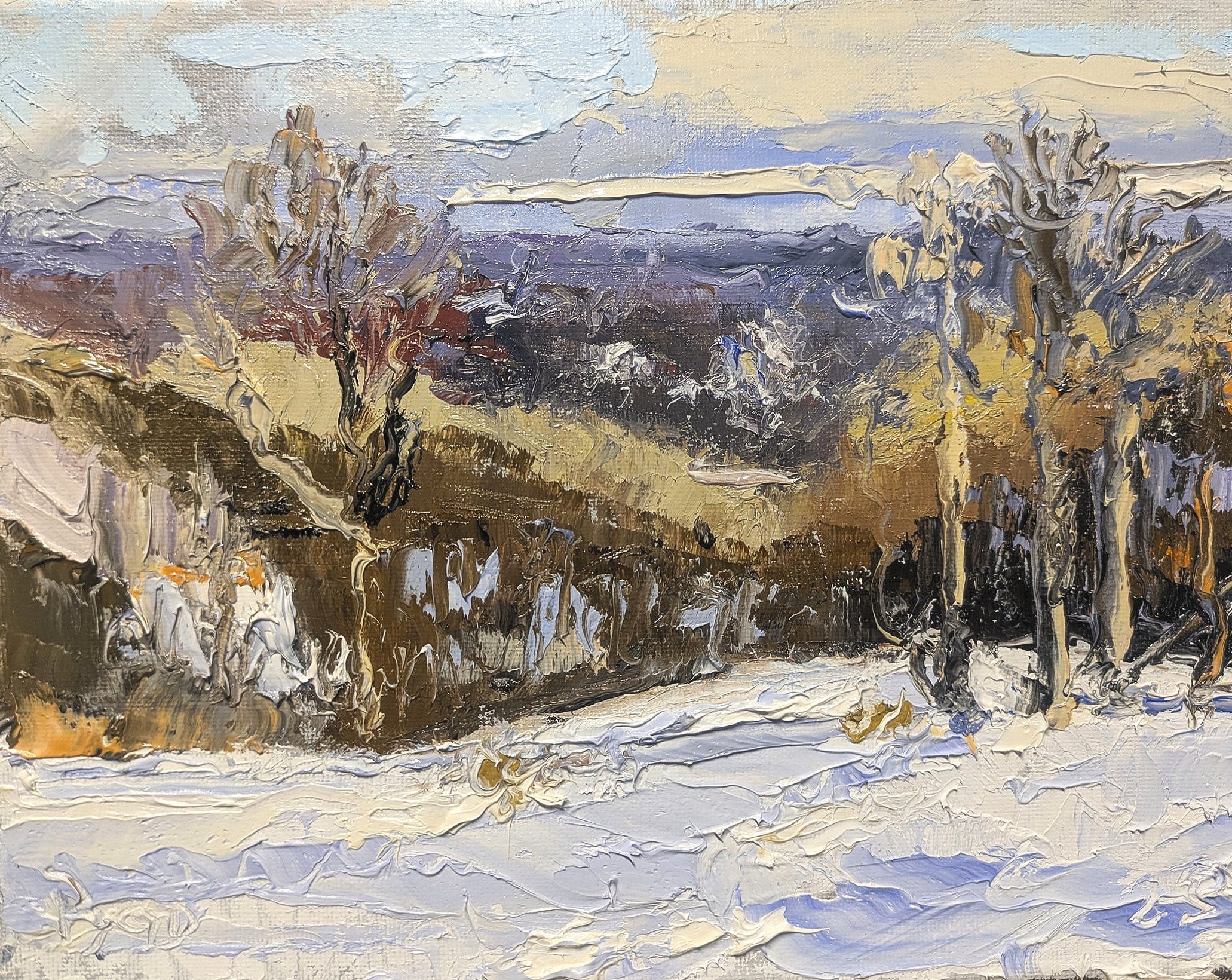 Winter from the Studio Deck