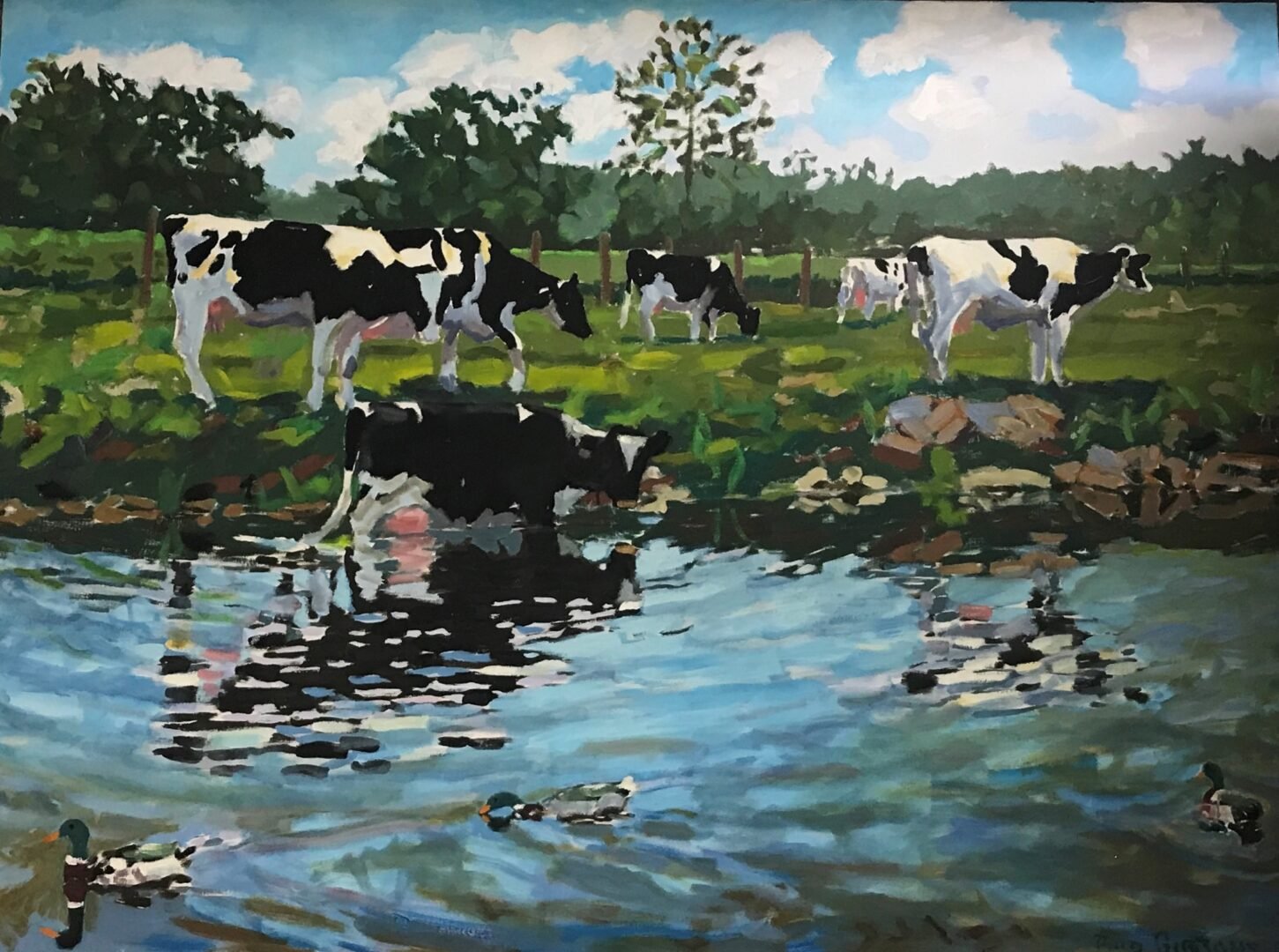 Cows