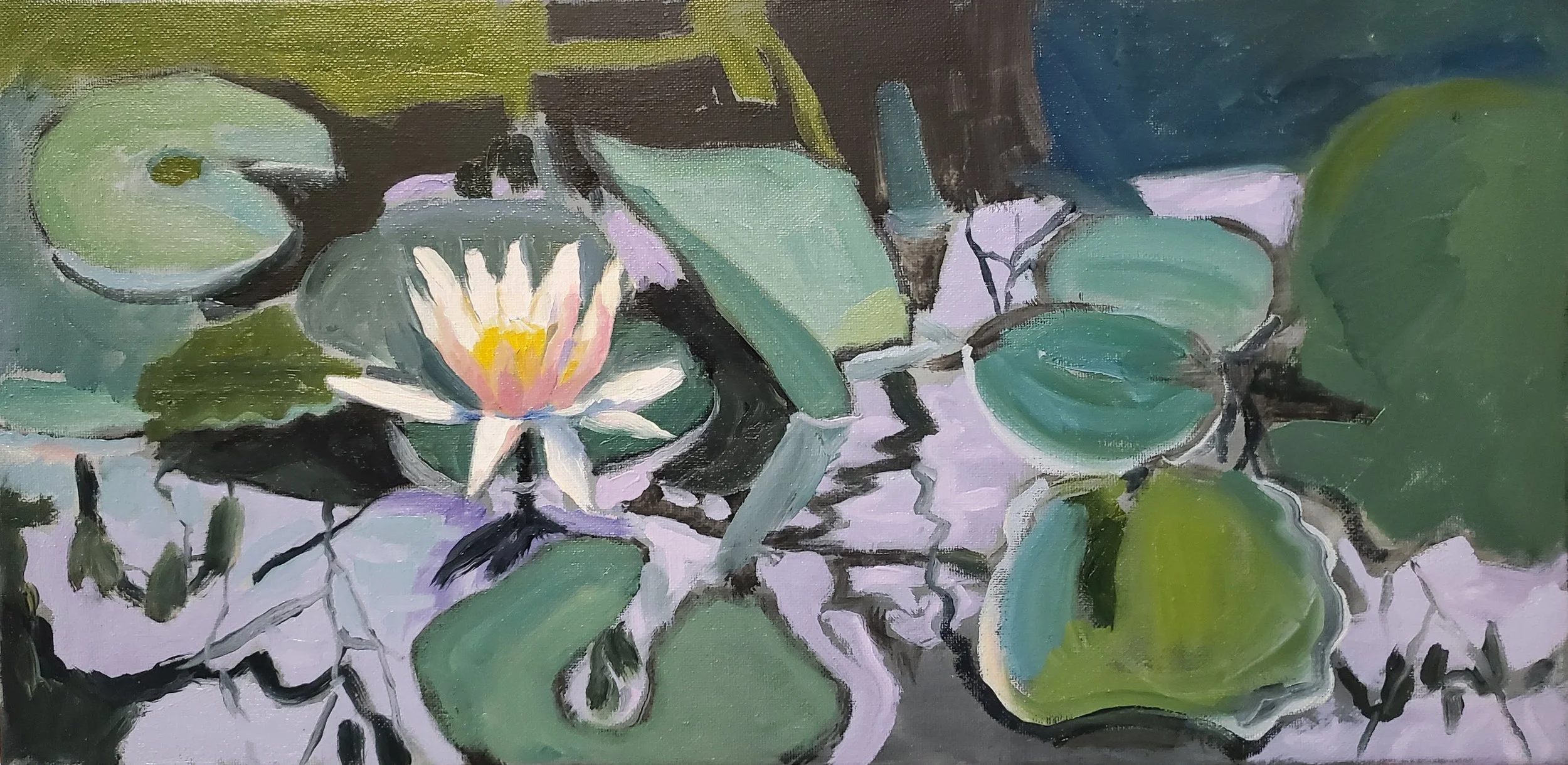 Waterlilies 2023_4.jpg