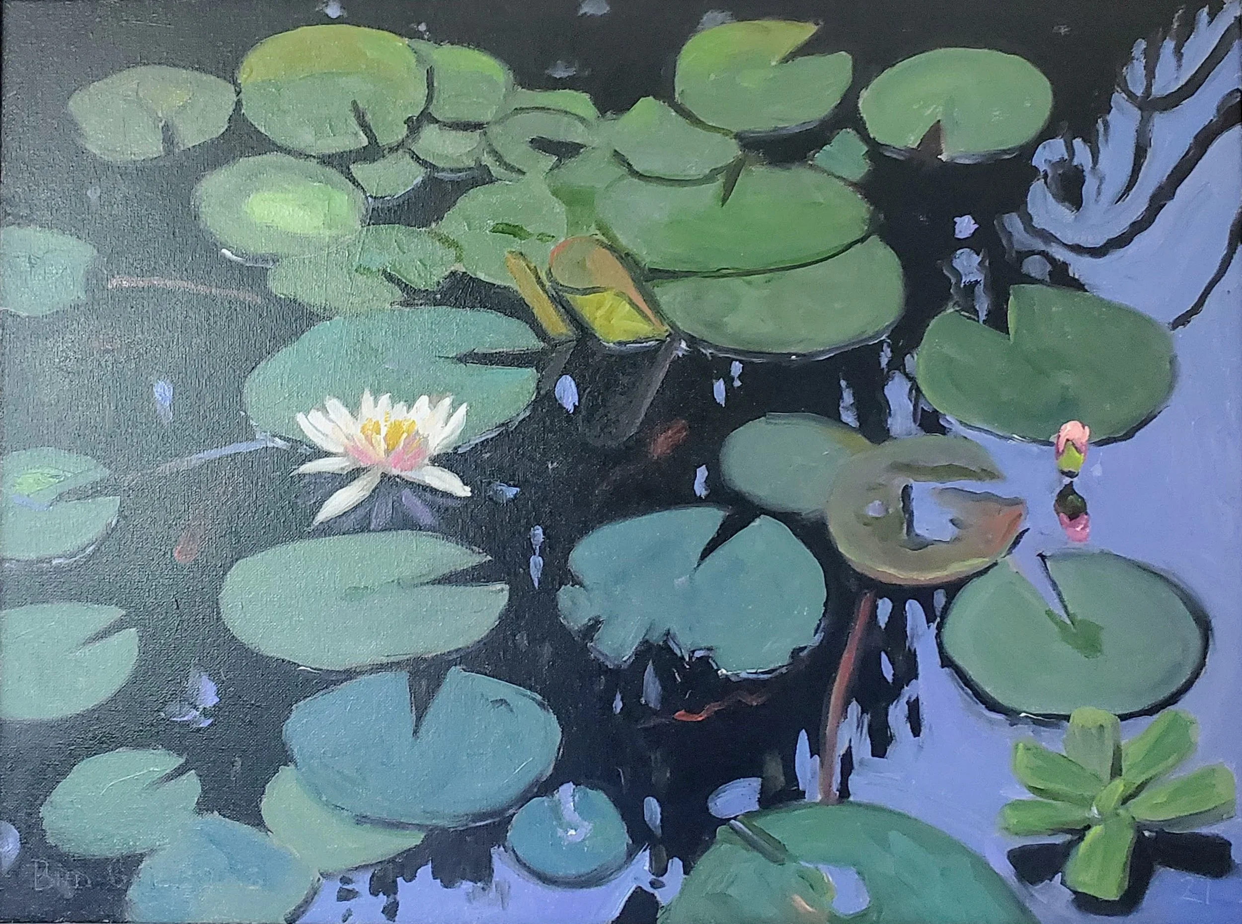 Waterlilies 2021.jpg