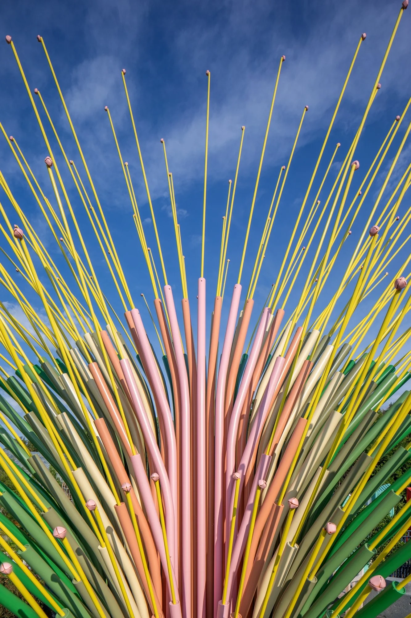 NEON - Chorus Ventus - Website 2.JPG