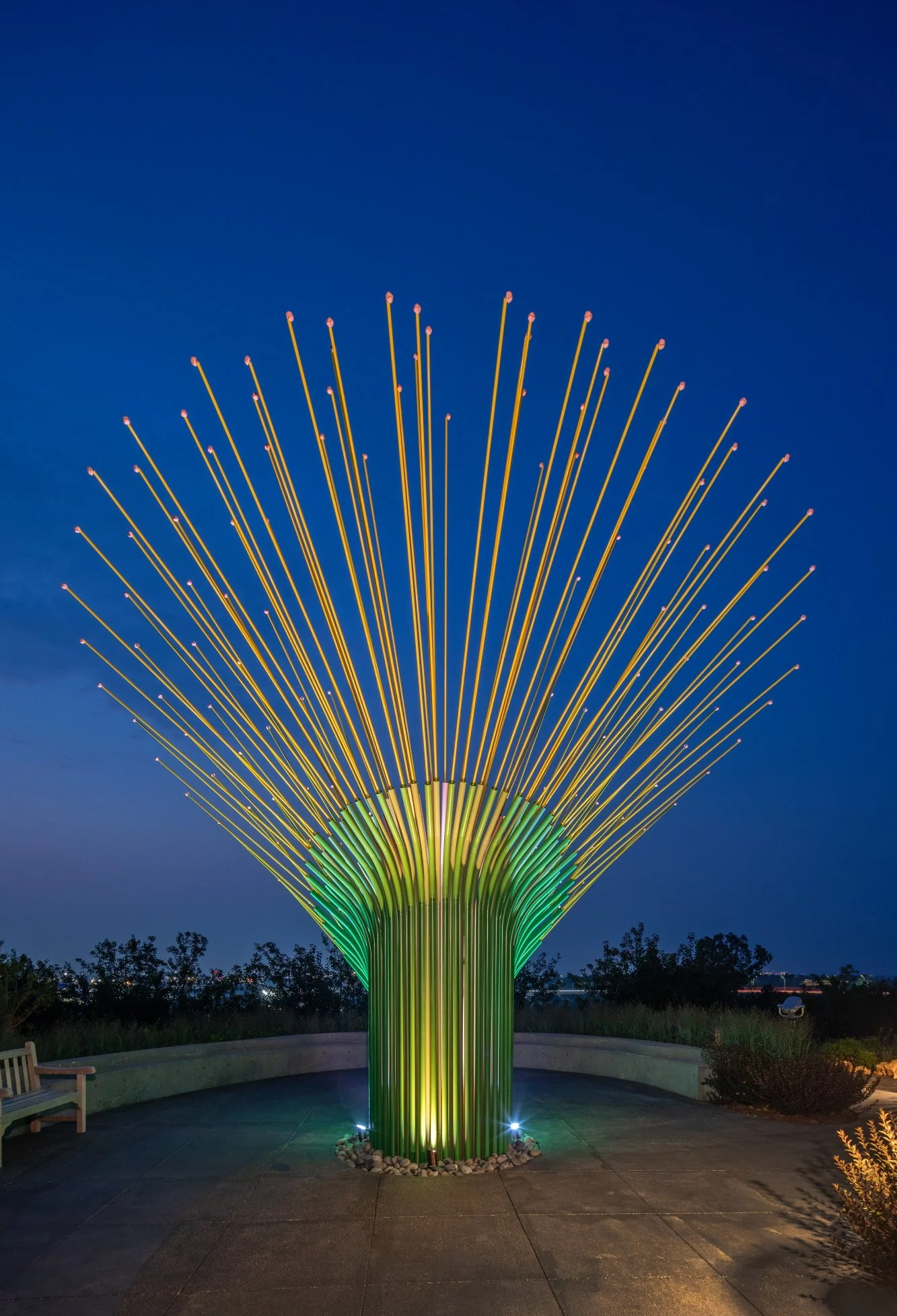 NEON - Chorus Ventus - Website 22.JPG