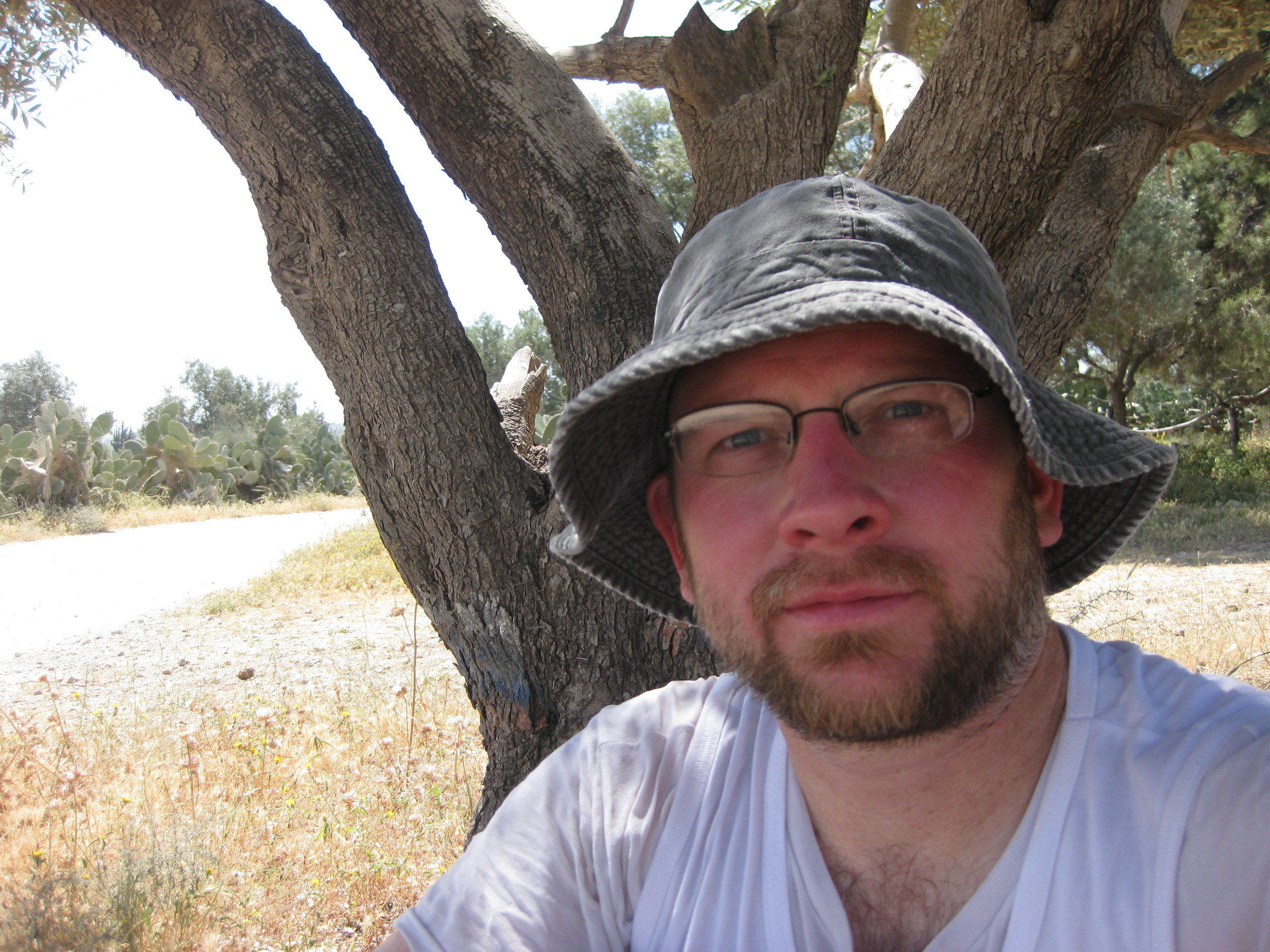 In the Ben Shemen forest