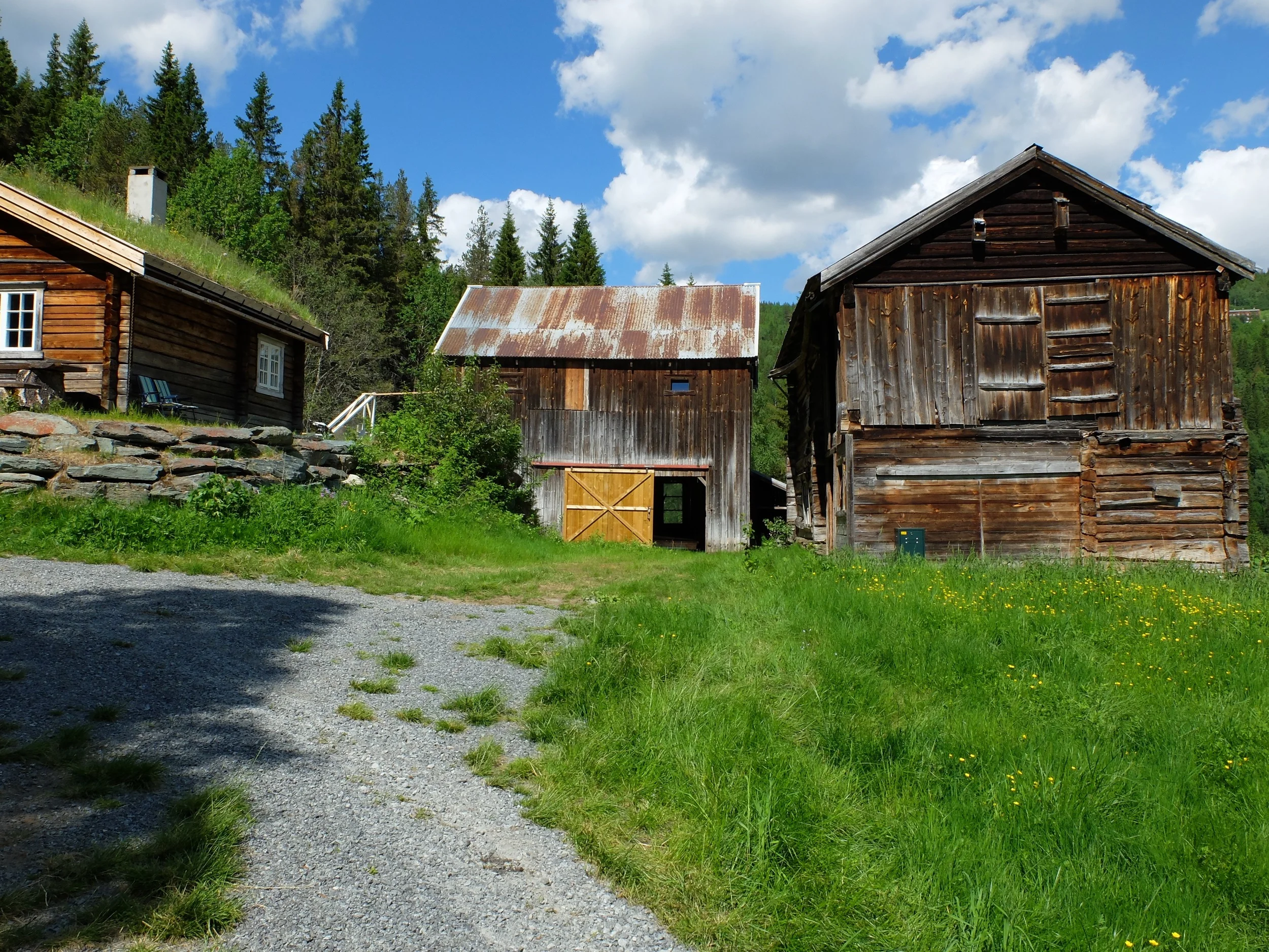 DSCF0367.jpg