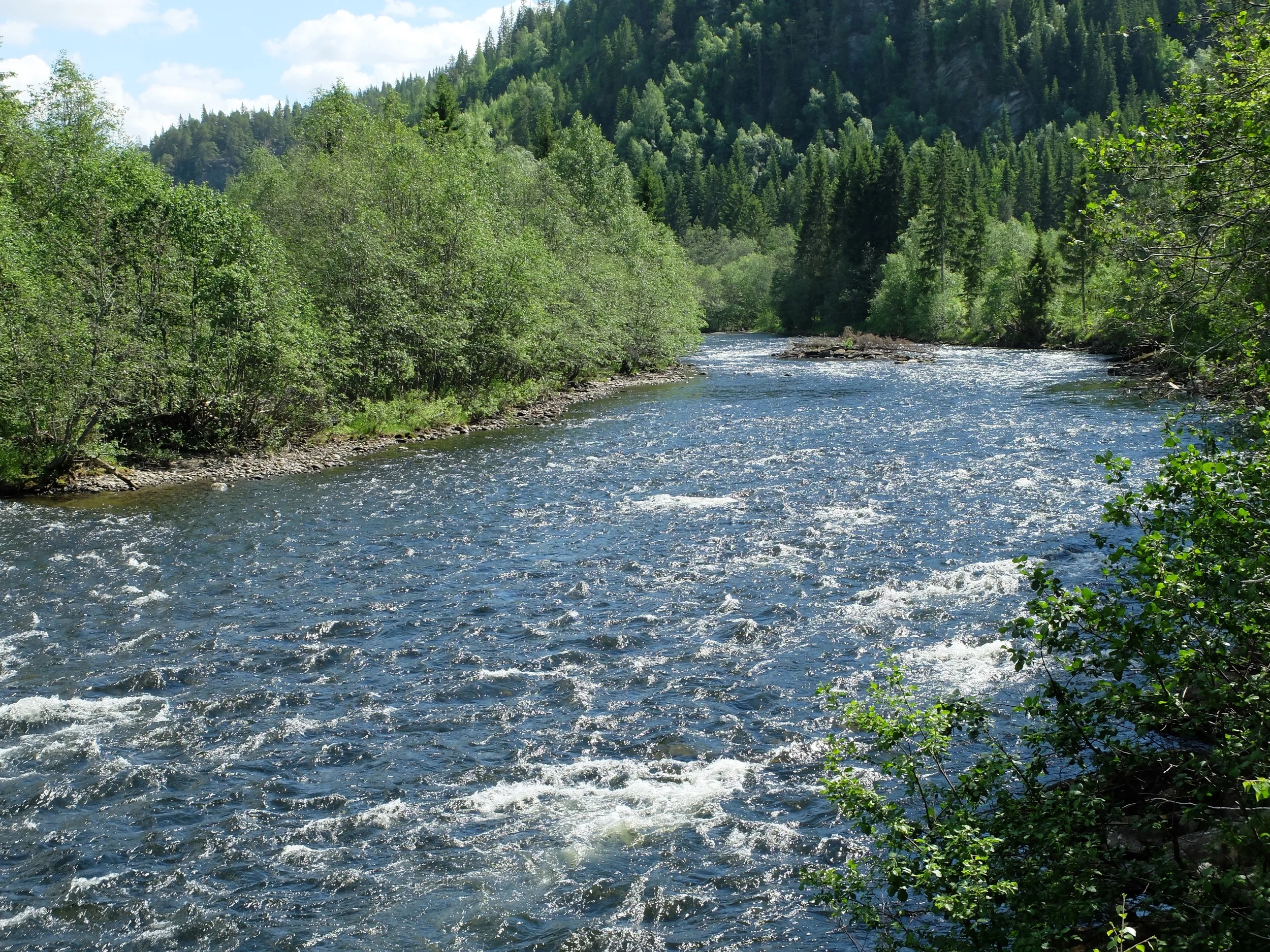 DSCF0397.jpg