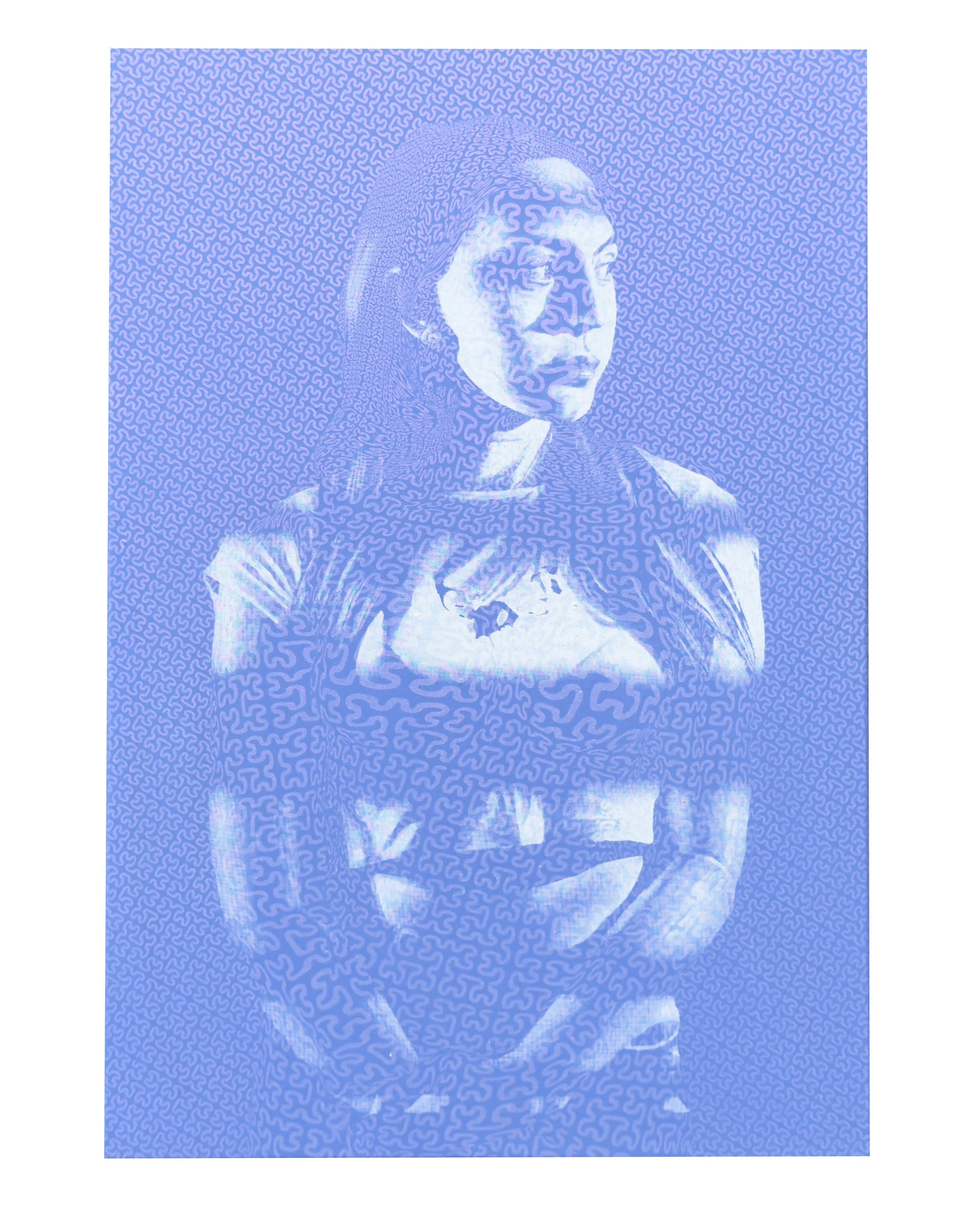 Alecode001_multicolour screen print on Canvas.jpg