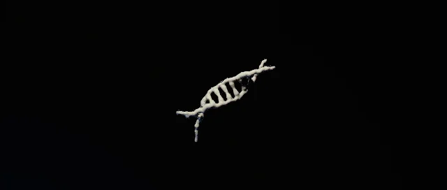 DNA.09.jpg