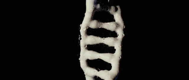DNA.08.jpg
