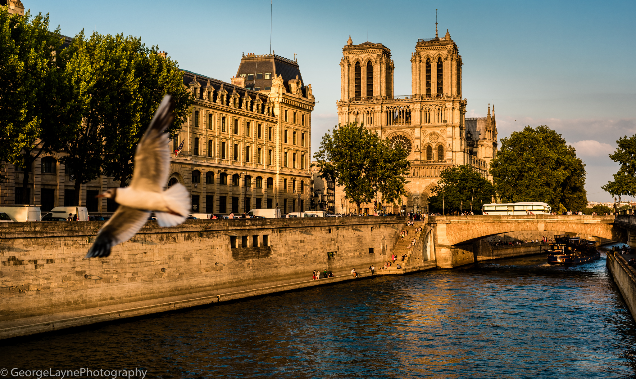 My first sight of Notre-Dame