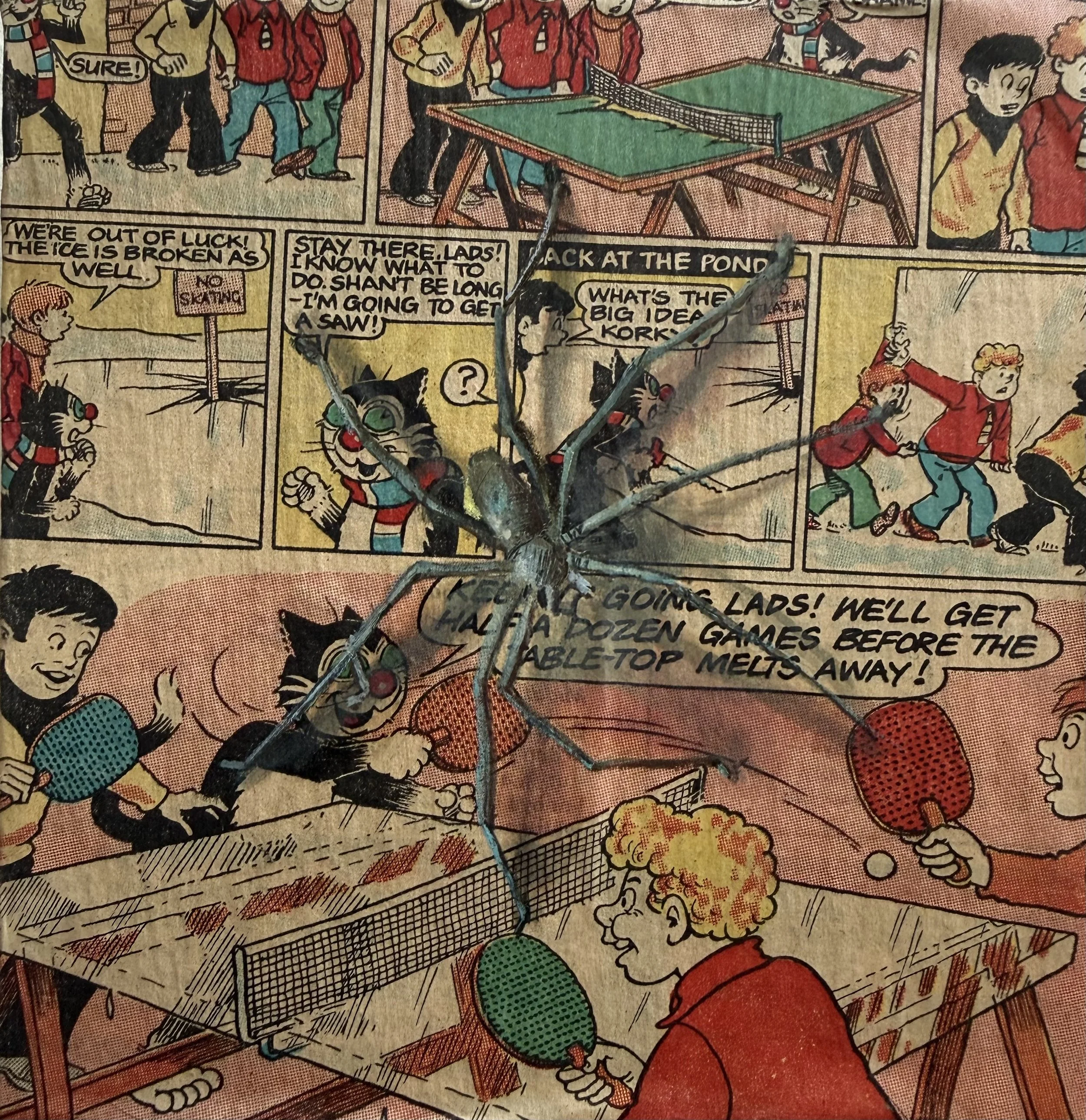 _Jessy_15x15cm_oilandcollage onpanel.jpeg