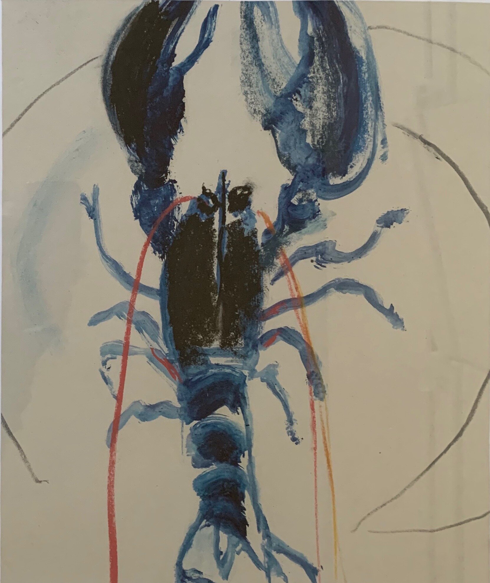 Study of a Lobster  