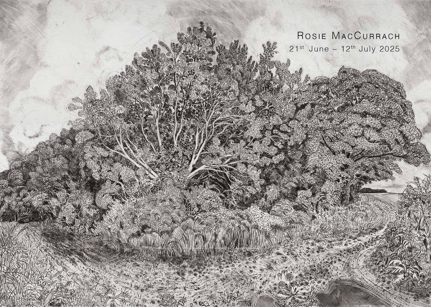 Next Saturday 21st June I am delighted to be showing the work of @rosiemaccurrach for the very first time so do come along to the Private View from 11am - 3pm or join us online at 10am as we walk around the show together 
.
.
#rosiemaccurrach #pleina