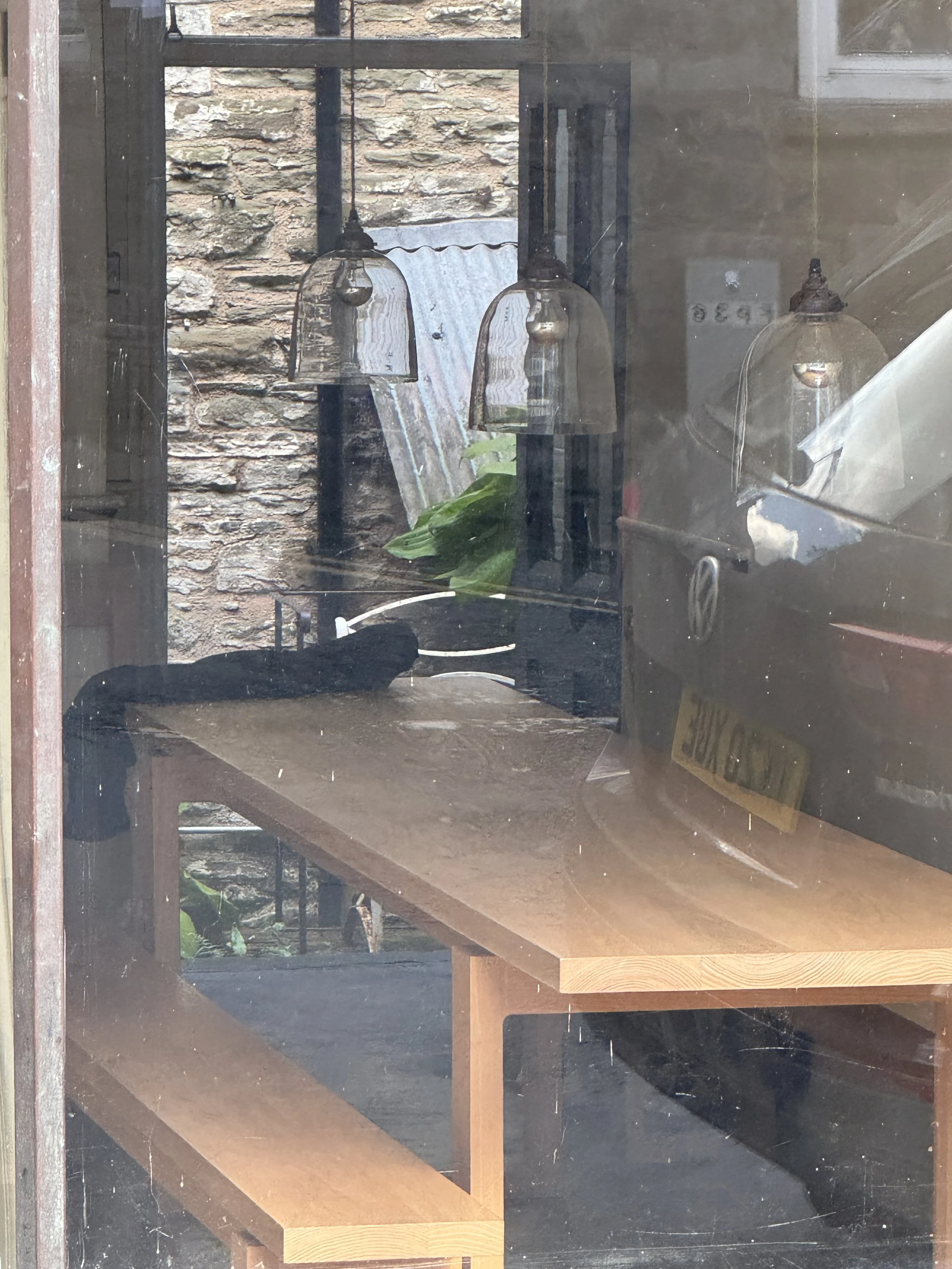 Still Life Art &amp; Home